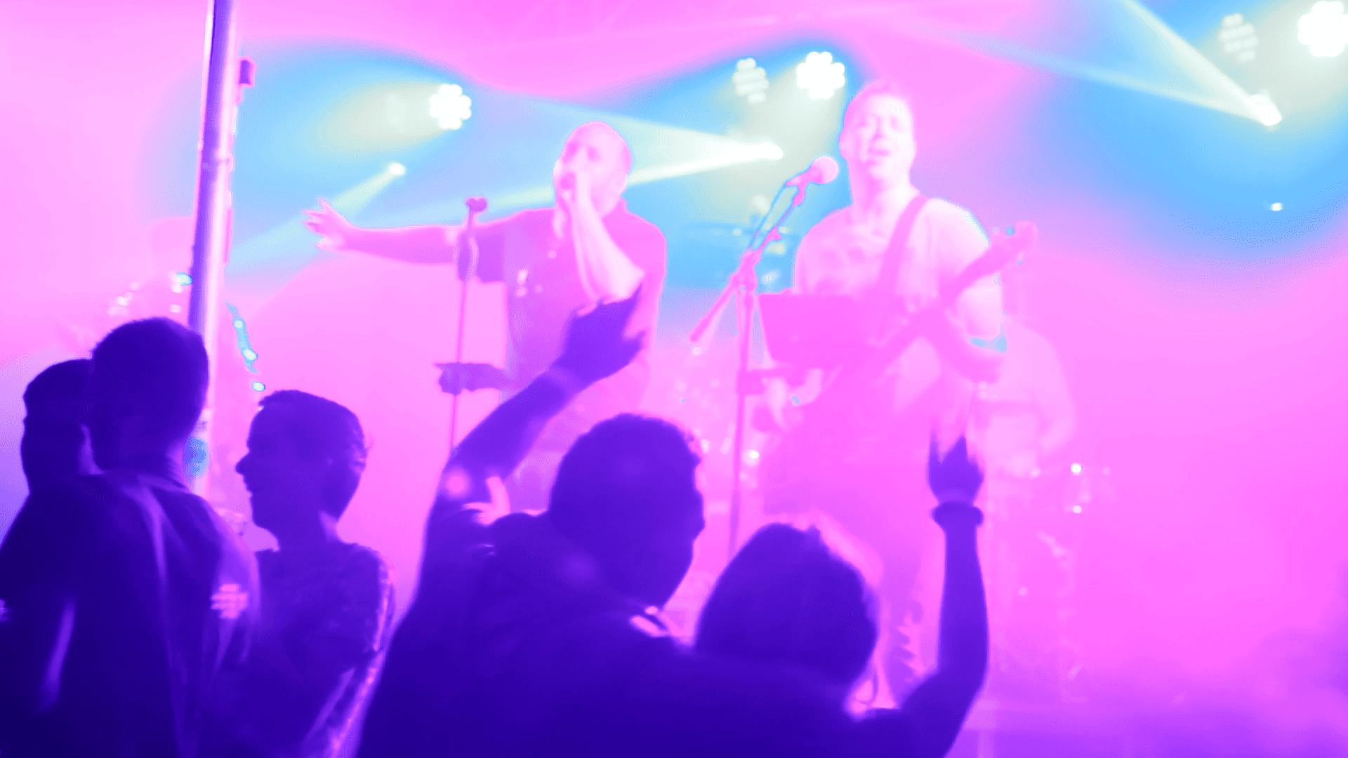 Coverband Lynx