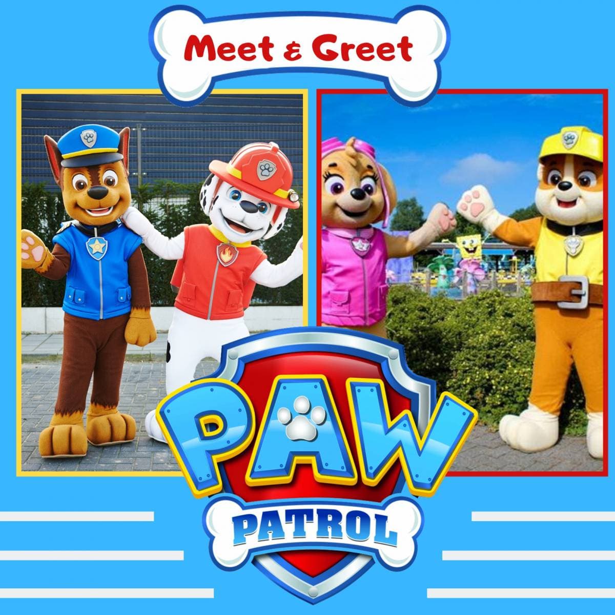 Paw Patrol