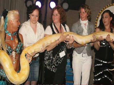 Slangen show / buikdanseres met slang