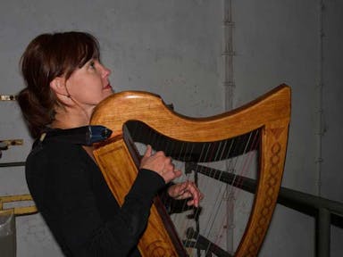 Troubadour harp