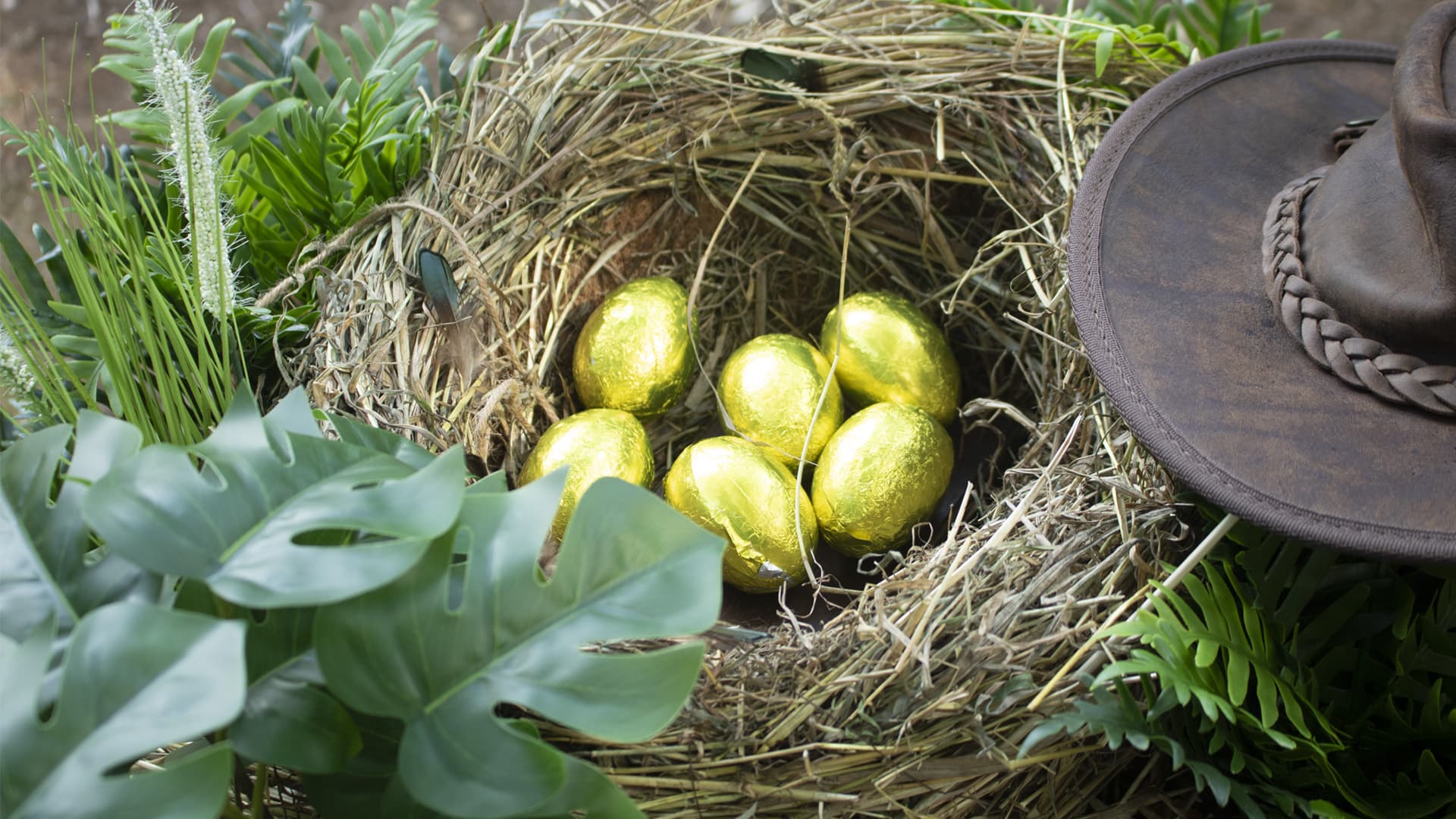 Speurtocht op locatie - Ranger