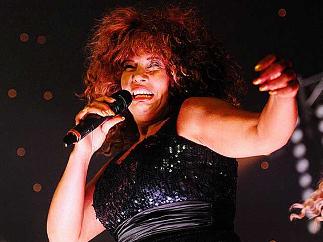 Tina Turner Tribute