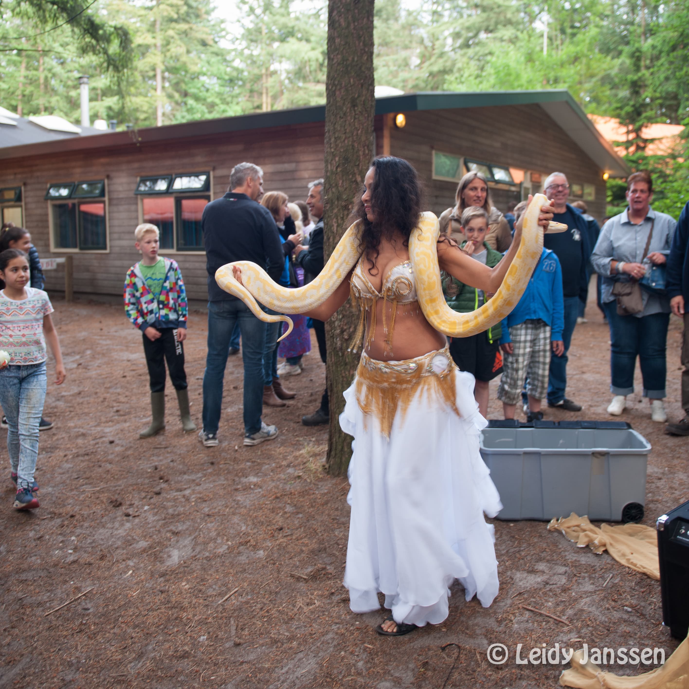 Buikdanseres met slang