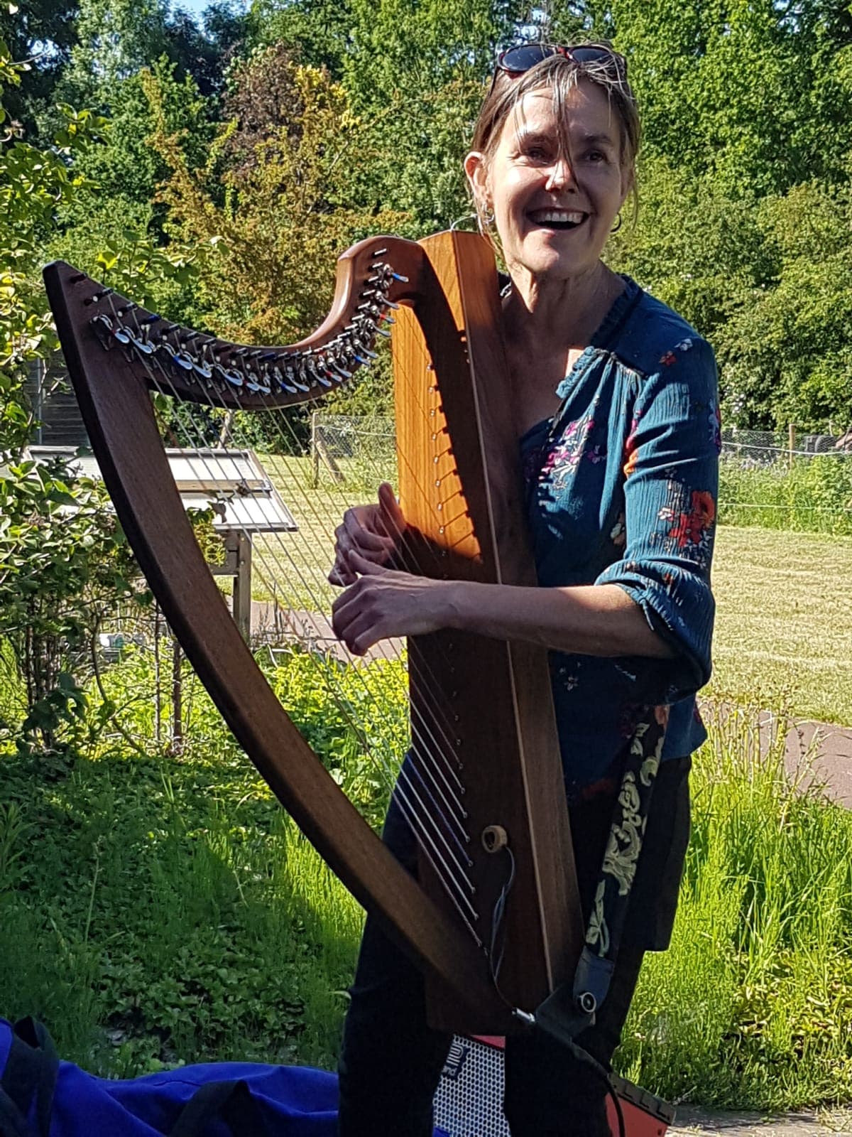 Troubadour harp