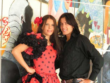 Spaanse danser en danseres Flamenco show