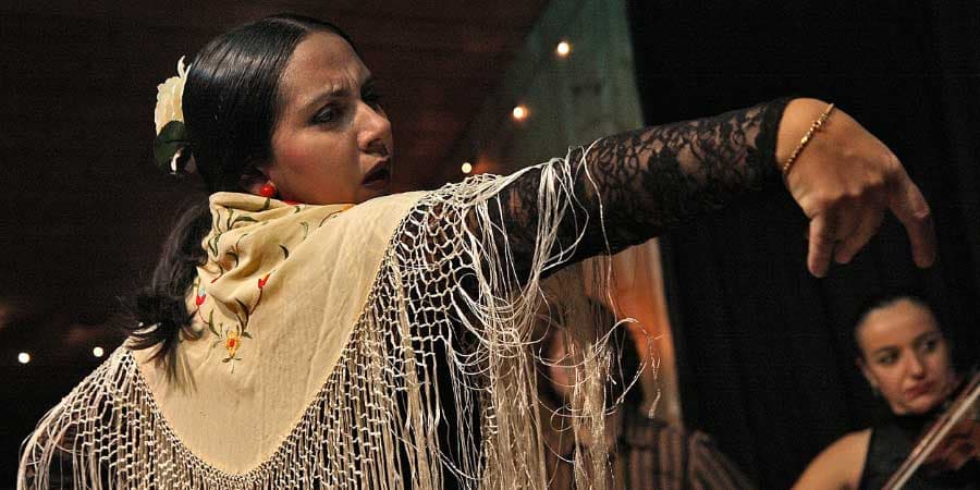 Spaanse zangeres boeken