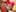 Magic Workshop 1001 Nacht | Ton Bal